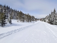 Camp Mercier